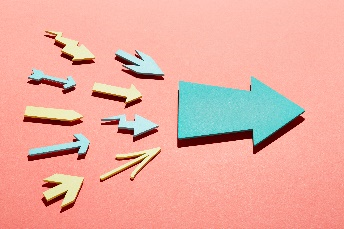 Vendor Management